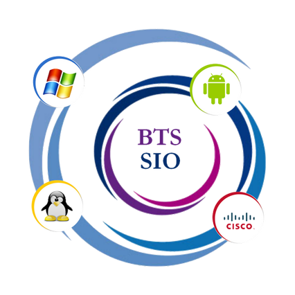 Logo de la section SIO de Victor et Hélène Basch